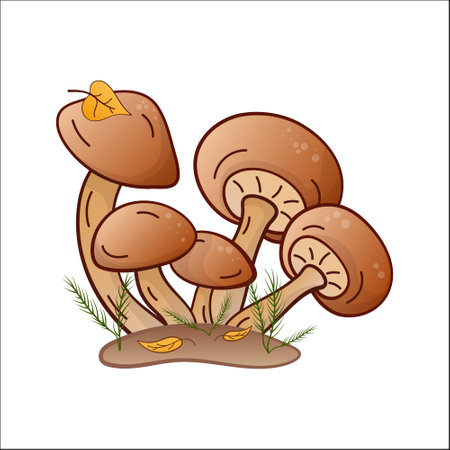 honey mushrooms vector color illustration isolated. Hand drawn armillaria melea in cartoon style. Design element for theme forest mushrooms, menu, forest, ingredients, recipes, organic products, etc.のイラスト素材