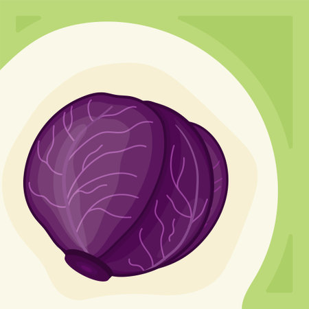 Red cabbage square templates for social media posts. Design for kale day, healthy food health day. Green, purple Liquid stains with transparency. Post design template for harvest, vegetables.のイラスト素材