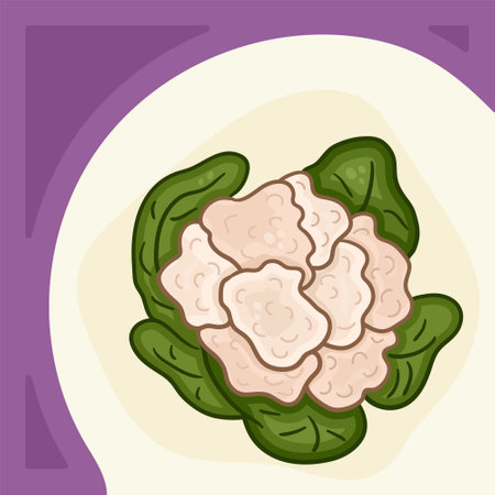 Cauliflower square templates for social media posts. Design for kale day, healthy food health day. Green, purple Liquid stains with transparency. Post design template for harvest, vegetables.のイラスト素材