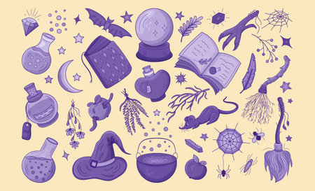 Set magic items doodle. Theme witches, Halloween, esoteric. Vector black on white. Magic book, witch hat, flask, magic ball, boiler, spider, bat, dry herb, apple worm, mouse, chicken foot, magic stoneのイラスト素材