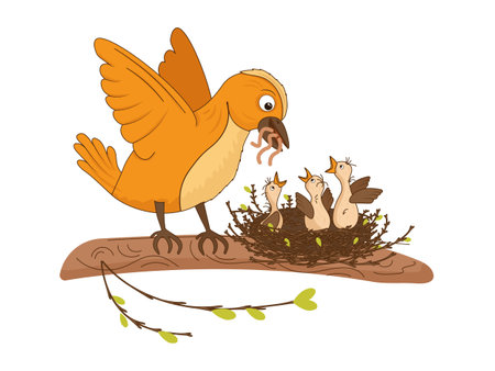 Bird feeds chicks with worms. Chicks waiting for food in the nest. Vector illustration with birds, nest, branch, mother bird, worm food. Picture for books, postcards, educational cards.のイラスト素材