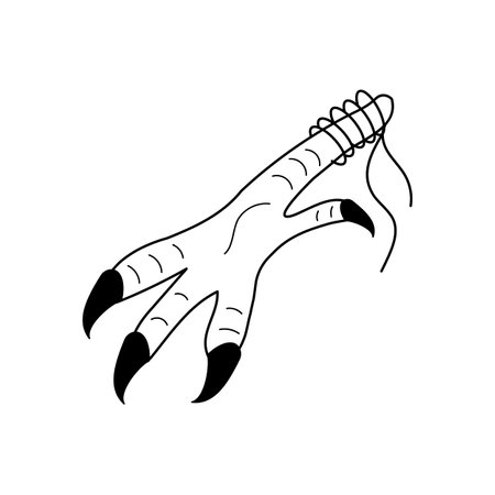 Black line Doodle Chicken paw with claws for magic rituals, occult Ingredient for making potion. Chicken feet Witch accessory. Isolated Vector illustration theme magic, Halloween, esoteric.のイラスト素材