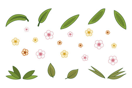 Tropical leaves and flowers set. Vector isolated elements. Green plant branches.のイラスト素材