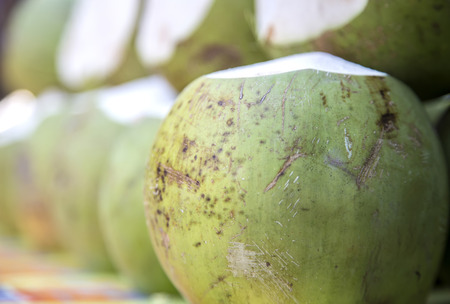 Coconutの写真素材