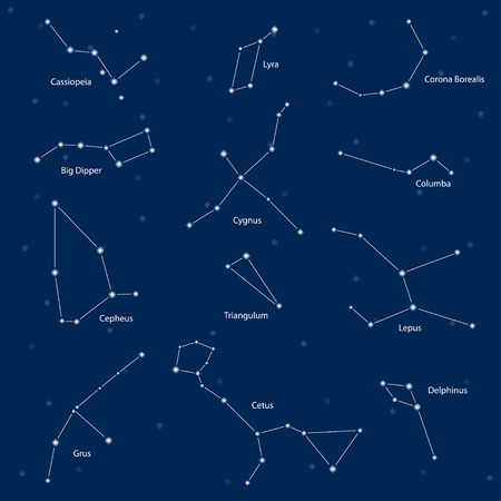 Constellations: cassiopeia, big dipper, cepheus, lyra, grus, cygnus, triangulum, cetus, corona borealis, columba, lepus, delphinus, vector illustrationのイラスト素材
