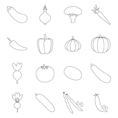 Set of vegetable icons, vector illustrationのイラスト素材