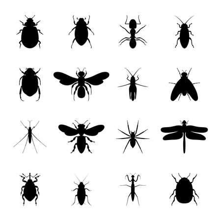 Set of black silhouettes of insects, vector illustrationのイラスト素材