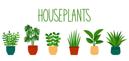 Houseplants in pots in flat style and hand lettering, vector illustrationのイラスト素材