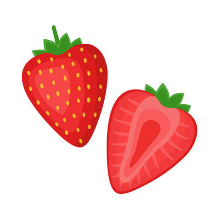Strawberry, whole berry and half, vector illustrationのイラスト素材