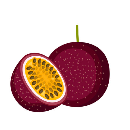 Passion fruit, whole fruit and half, vector illustrationのイラスト素材