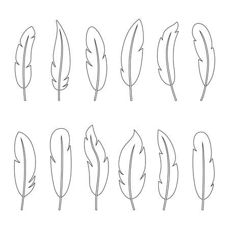 Set of outlines of feathers, vector illustrationのイラスト素材