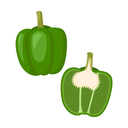 Green bell pepper, whole vegetable and half. Vector illustrationのイラスト素材