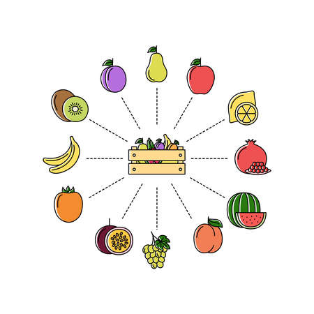 Online store with fruits. Shopping concept, vector illustrationのイラスト素材