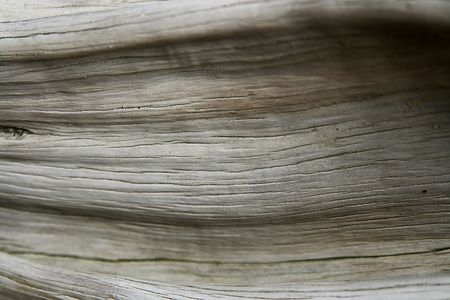 A background pattern based on a tree trunkの写真素材