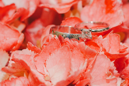 Wedding Bands in Coral Petalsの写真素材