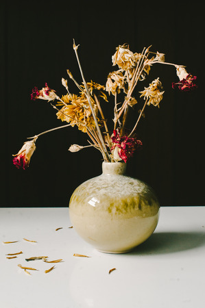 Red  Yellow Dried Flowers in Sage Green Vaseの写真素材