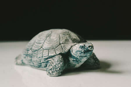 Volcanic Ash Turtleの写真素材