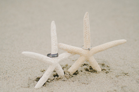 Starfish Wedding Ringsの写真素材