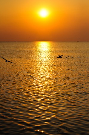 Reflexion of light of the sunset.の写真素材