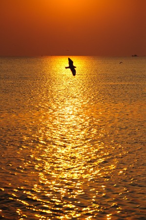 Reflexion of light of the sunset.の写真素材