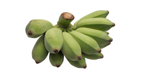 unpeeled raw green banana on white background, isolated, on front viewの写真素材