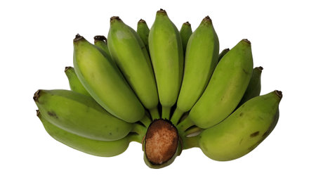 unpeeled raw green banana on white background, isolated, on top viewの写真素材