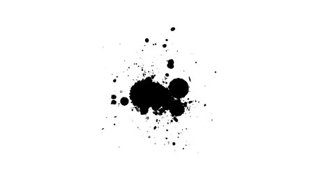 black ink brushed splash splatter on white backgroundのイラスト素材