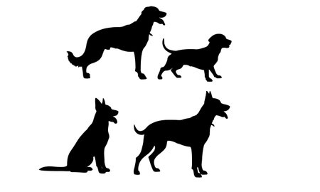 silhouette dog breed postures act black dog breed shapes monochrome color on white backgroundのイラスト素材