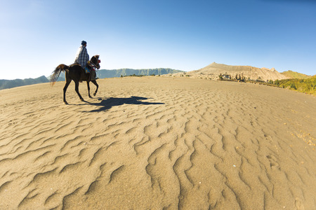 Horse riding service around Bromo walking from crater to the parking areas. Mt.Bromo is locate on Tengger Semeru National Park, East Java, Indonesiaの写真素材