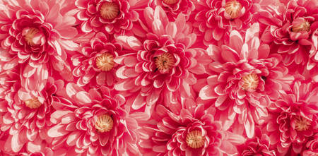 Floral background. Lot of artificial flowers in colorful composition
