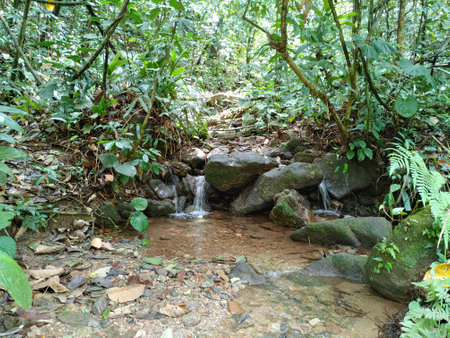 A nice little pond that I found while doing the Cachoeiras do RibeirÃ£o do Itu trail in Brazil.
