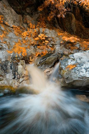 Water flowing in a stream in Bettys Bay South Africaの写真素材