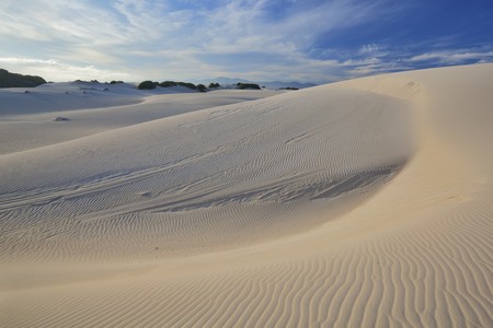 Image of Dunes on the South African coast line in the Western Capeの写真素材