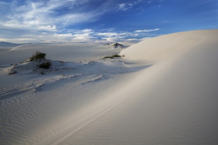 Image of Dunes on the South African coast line in the Western Capeの写真素材