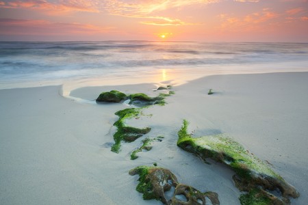 Image of a rock line going towards the sun with moss on itの写真素材