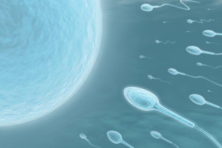 Sperm (Only one will get in)の写真素材