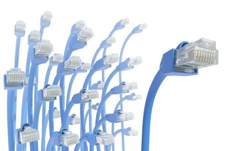 Several RJ45 cables in the background and one in foreground.