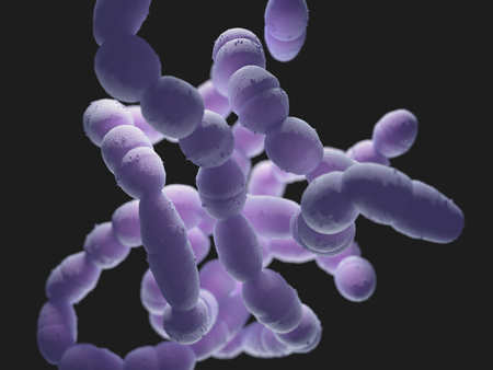 Streptococcus pneumoniae, or pneumococcus, is a gram-positive bacteria responsible for many types of...