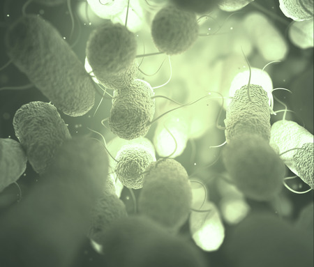 Enterobacteriaceae: large family of Gram-negative bacteria that includes many of the more familiar...