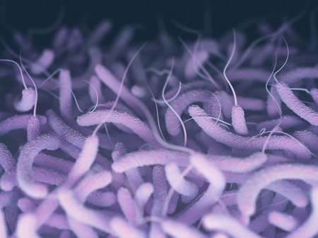Vibrio cholerae, Gram-negative bacteria. 3D illustration of bacteria with flagella.の写真素材