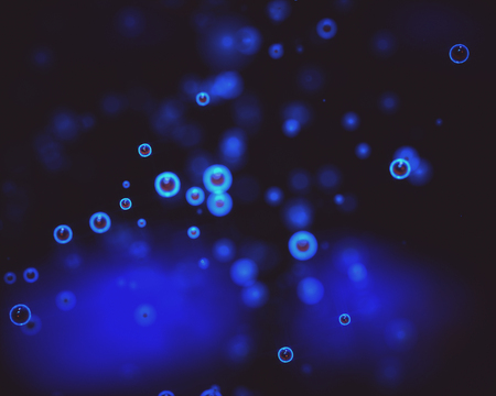 3D illustration. Abstract background of living microorganism.の写真素材