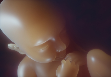 3D illustration. Image of a baby inside the womb.の写真素材