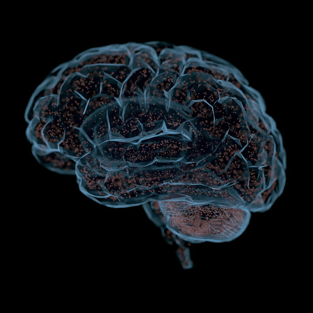 3D illustration. Human brain in a structure of polygonal connections representing the power of the mind.の写真素材