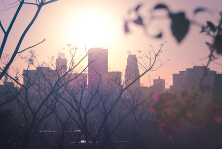 View from scenic and peaceful place at sunset.の写真素材