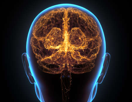 X-ray of the head and human brain in concept of neural connections and electrical pulses.