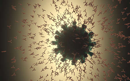 Immunological system, antibodies attacking the virus covid-19. 3D illustration, concept of the body's defense system. Y-shaped antibody attacking the virus.の写真素材