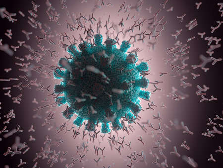 Immunological system, antibodies attacking the virus covid-19. 3D illustration, concept of the body's defense system. Y-shaped antibody attacking the virus.の写真素材