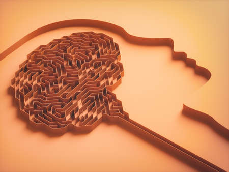 3D illustration, brain shaped maze. Concept image of study and brain behavior.の写真素材