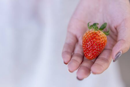 Female hand holding Strawberry on nature background.