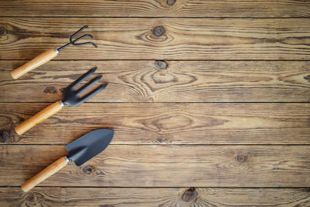 Gardening tools and set of plant care utensils on wooden table, top view, garden maintenance landscaping and hobby concept.の写真素材